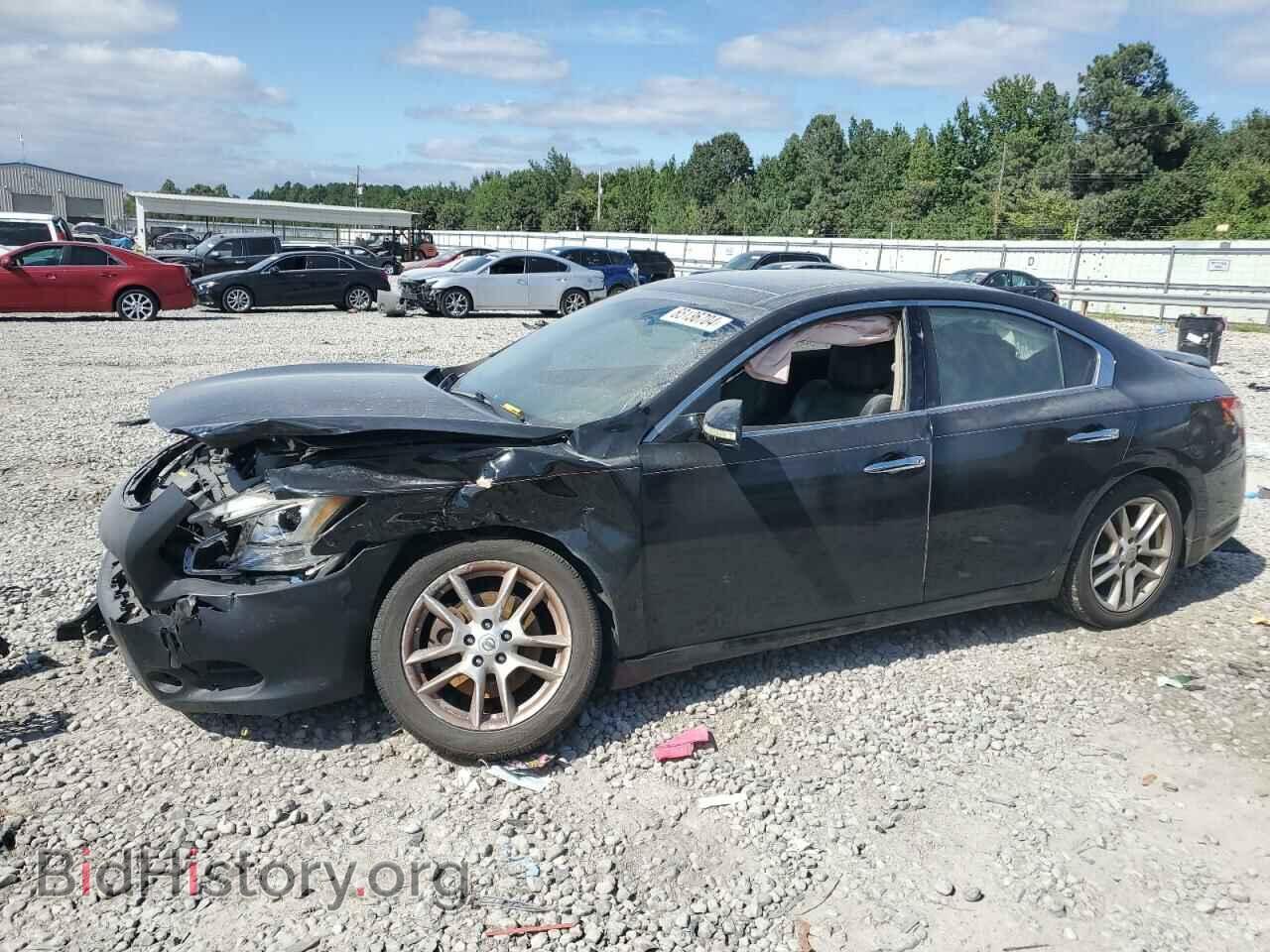 Photo 1N4AA5AP6BC849180 - NISSAN MAXIMA 2011