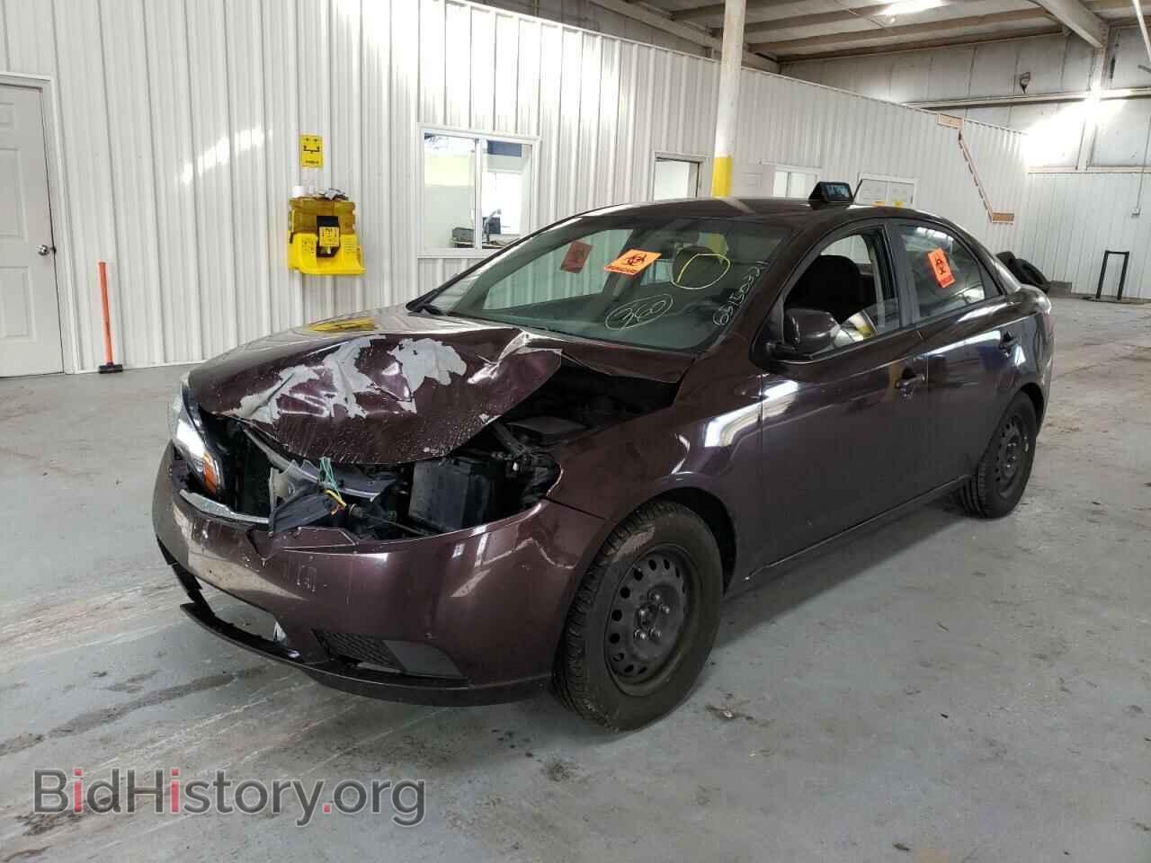 2010 KIA FORTE - VIN: KNAFU4A26A5116522 - Фото 2