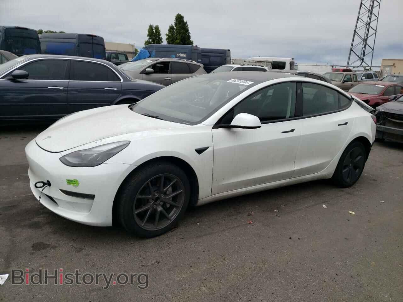 Photo 5YJ3E1EA4PF545765 - TESLA MODEL 3 2023