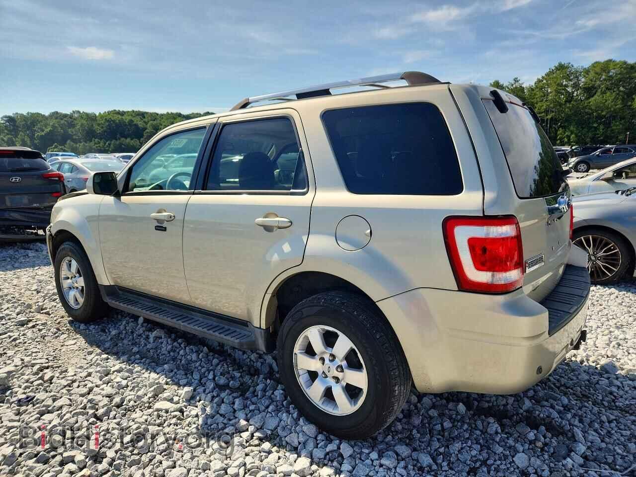 2010 FORD ESCAPE - VIN: 1FMCU0EG2AKA43103 - Фото 2