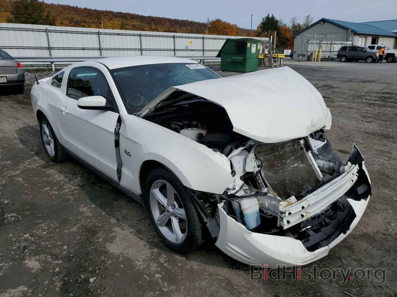 Фотография 1ZVBP8CF2B5141156 - FORD MUSTANG 2011