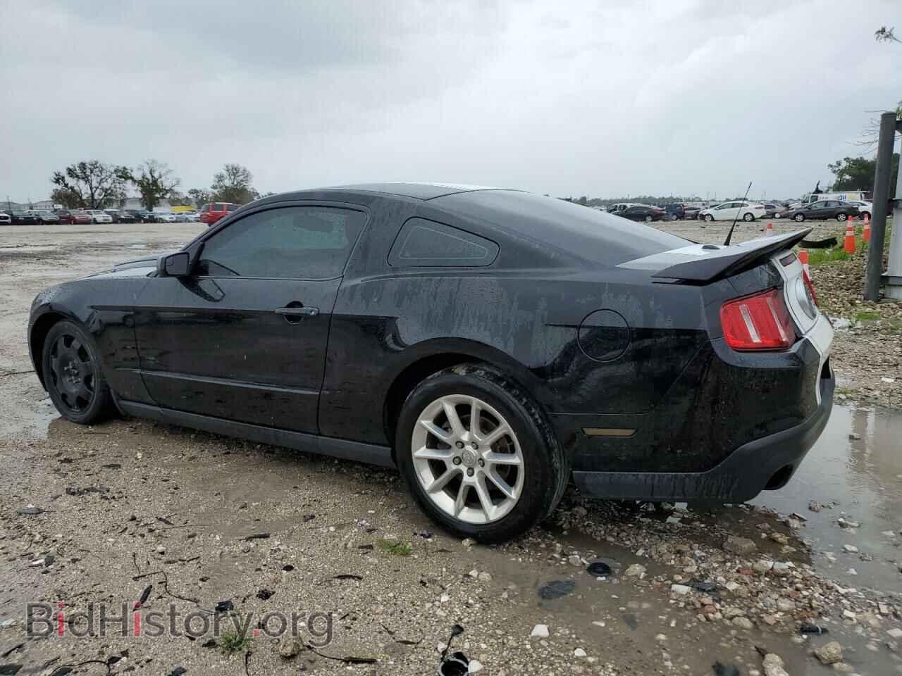 2011 FORD MUSTANG - VIN: 1ZVBP8CF2B5107542 - Фото 2