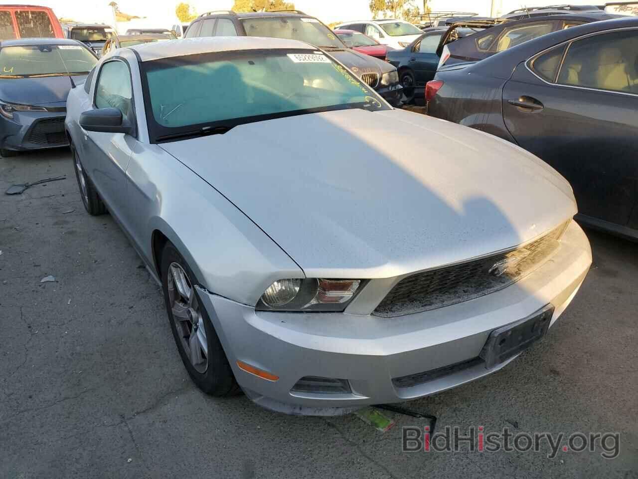 Photo 1ZVBP8AN8A5138853 - FORD MUSTANG 2010