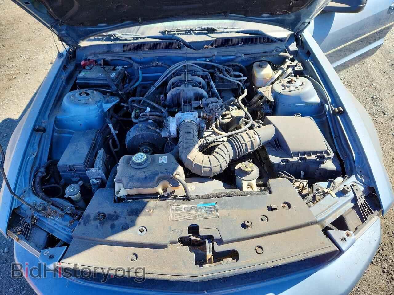 2005 FORD MUSTANG - VIN: 1ZVFT84N355207382 - Photo 11