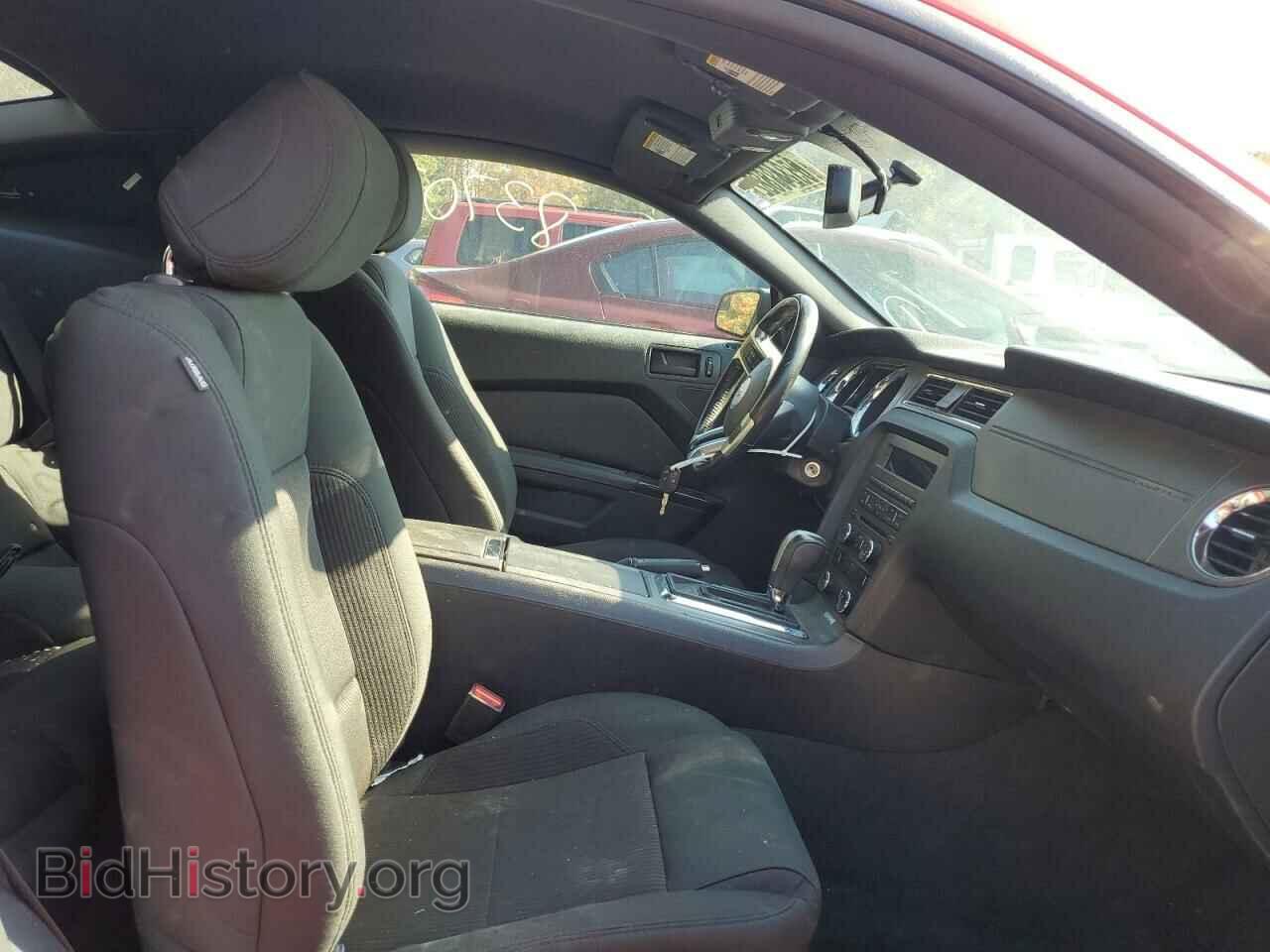 2014 FORD MUSTANG - VIN: 1ZVBP8AM9E5318582 - Фото 5