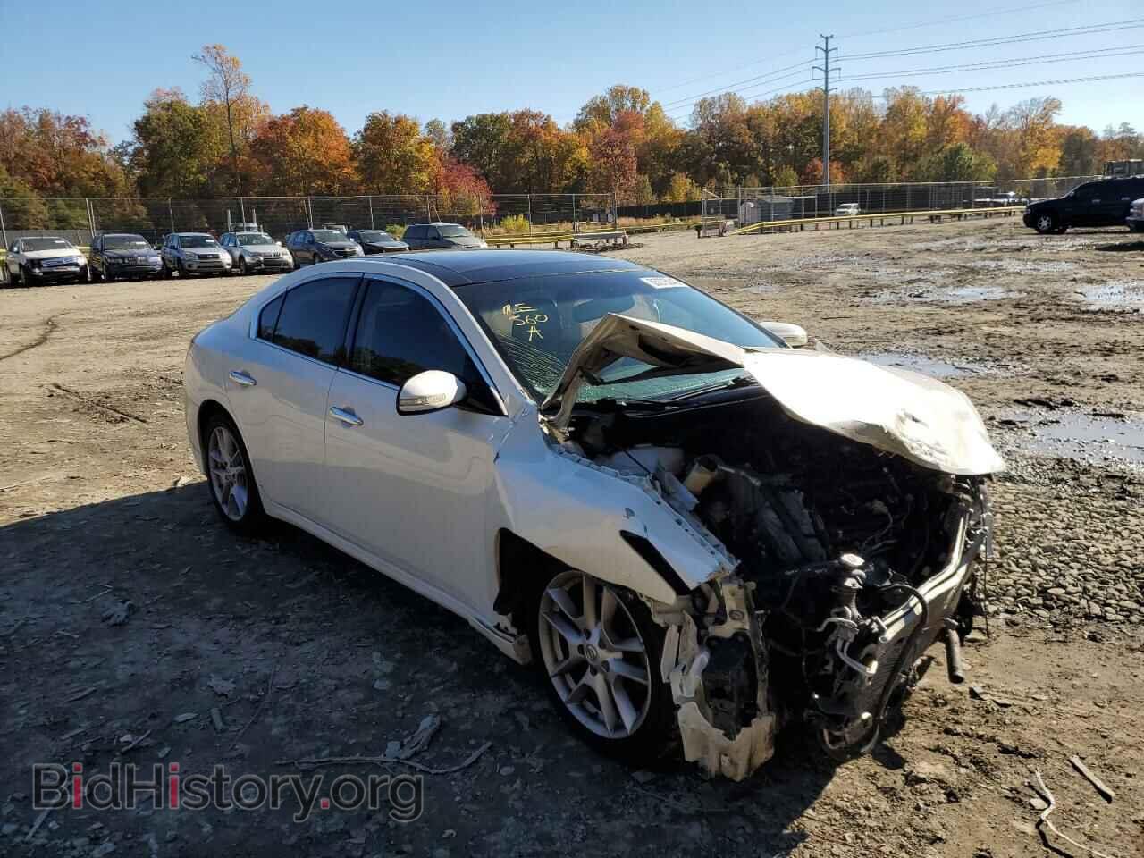 Photo 1N4AA51E79C842716 - NISSAN MAXIMA 2009
