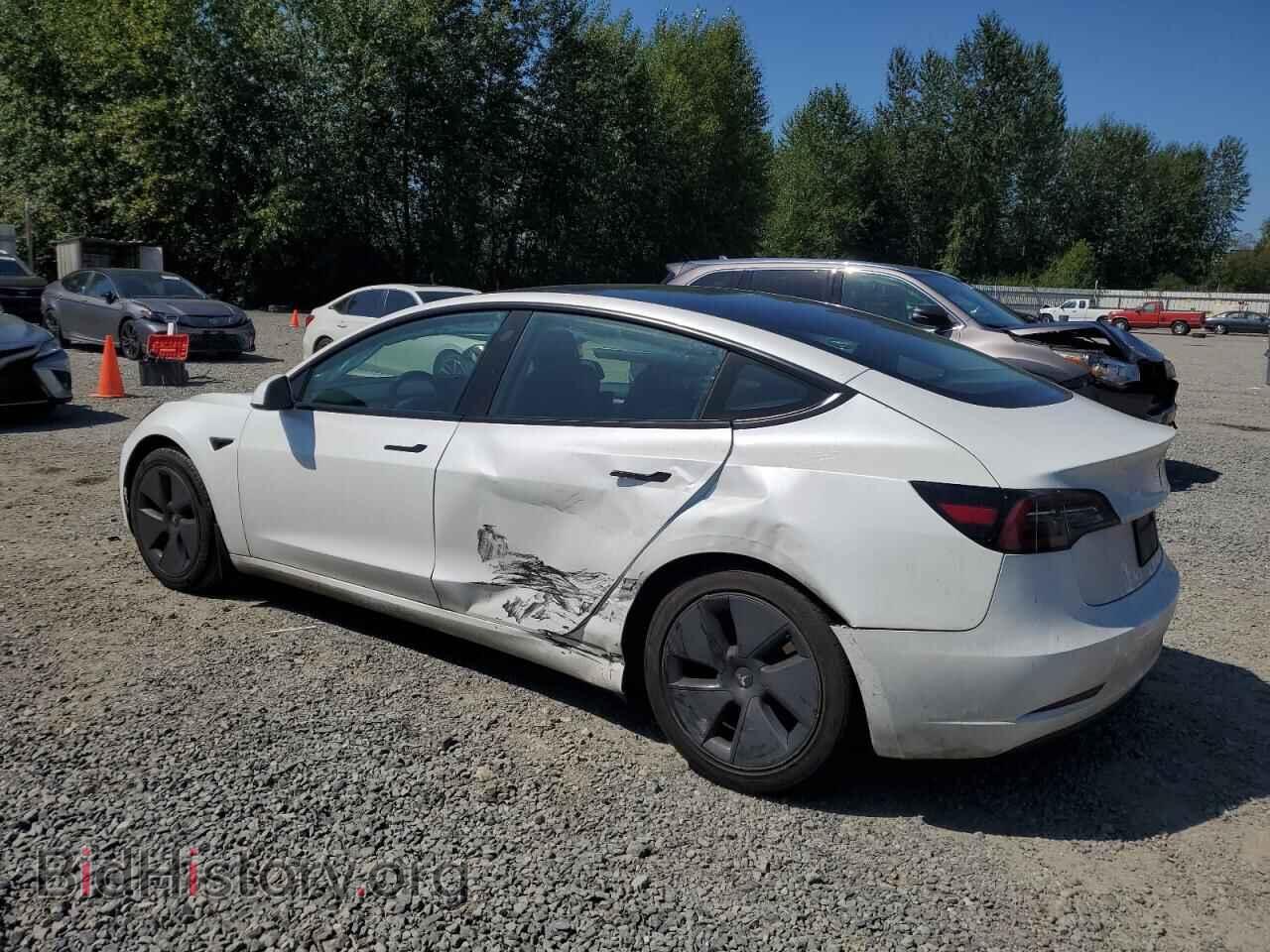 2023 TESLA MODEL 3 - VIN: 5YJ3E1EA6PF513299 - Photo 2