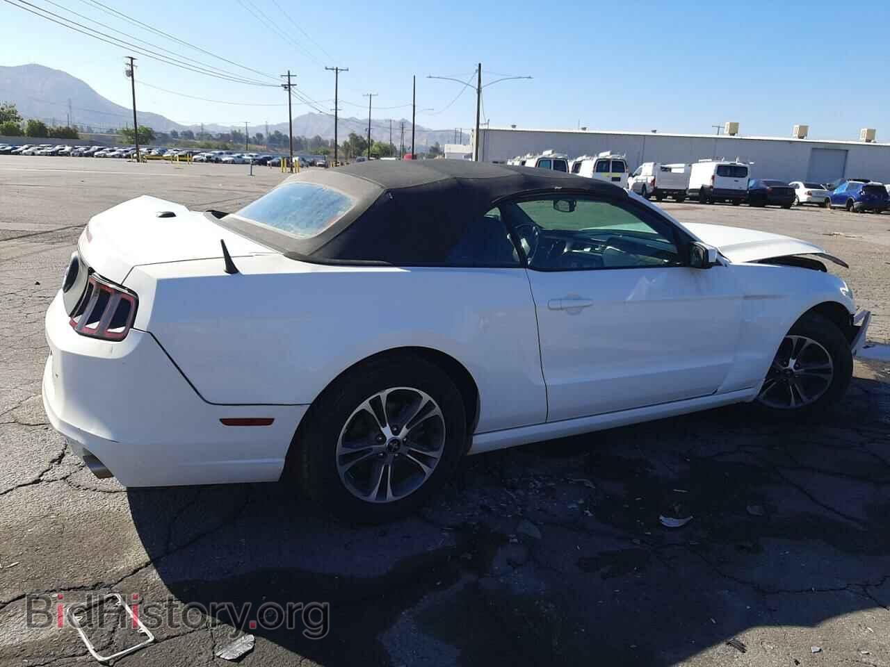 2013 FORD ALL Models - VIN: 1ZVBP8EM9D5248347 - Фото 3