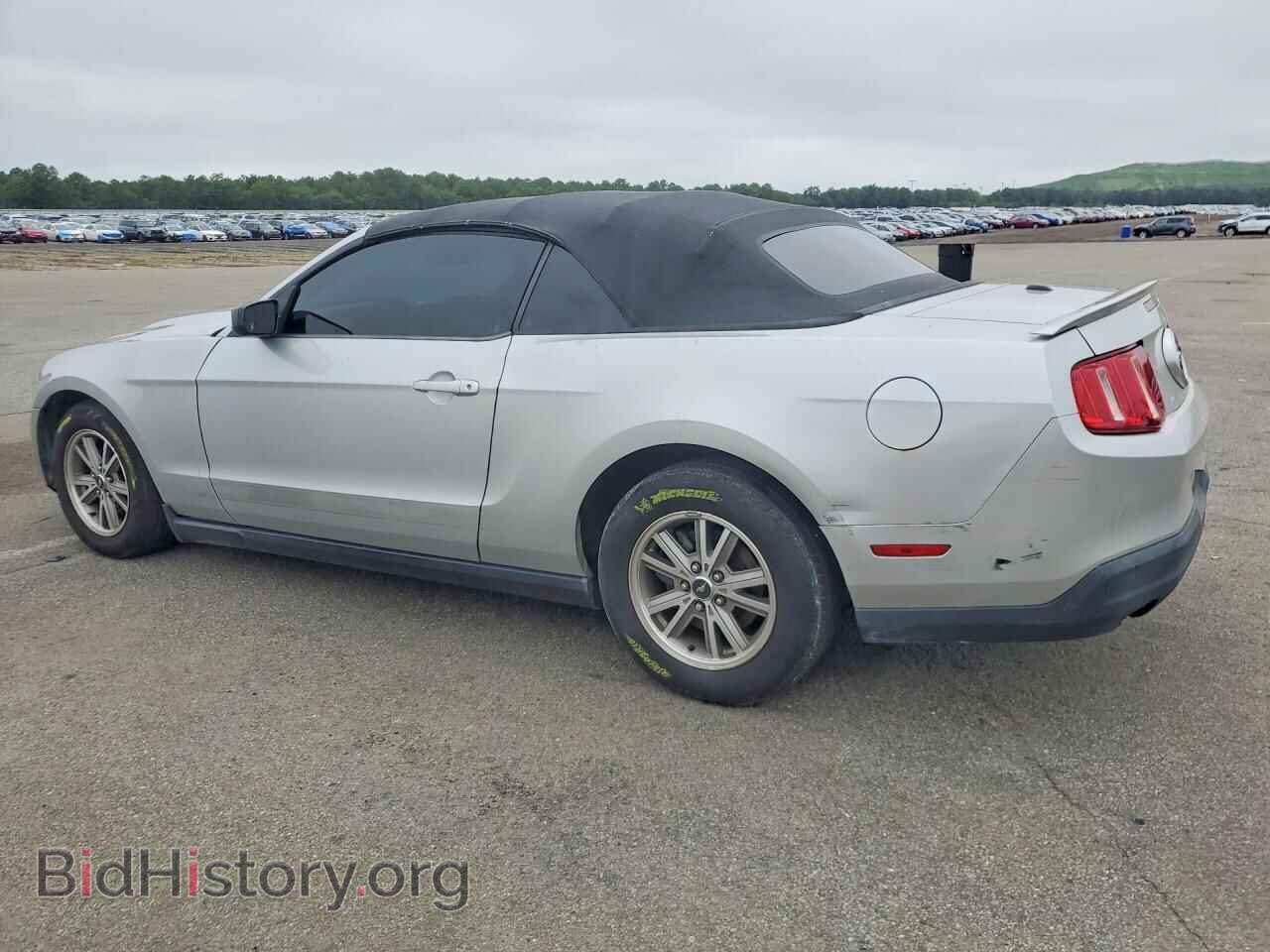 2010 FORD MUSTANG - VIN: 1ZVBP8EN2A5173317 - Фото 2