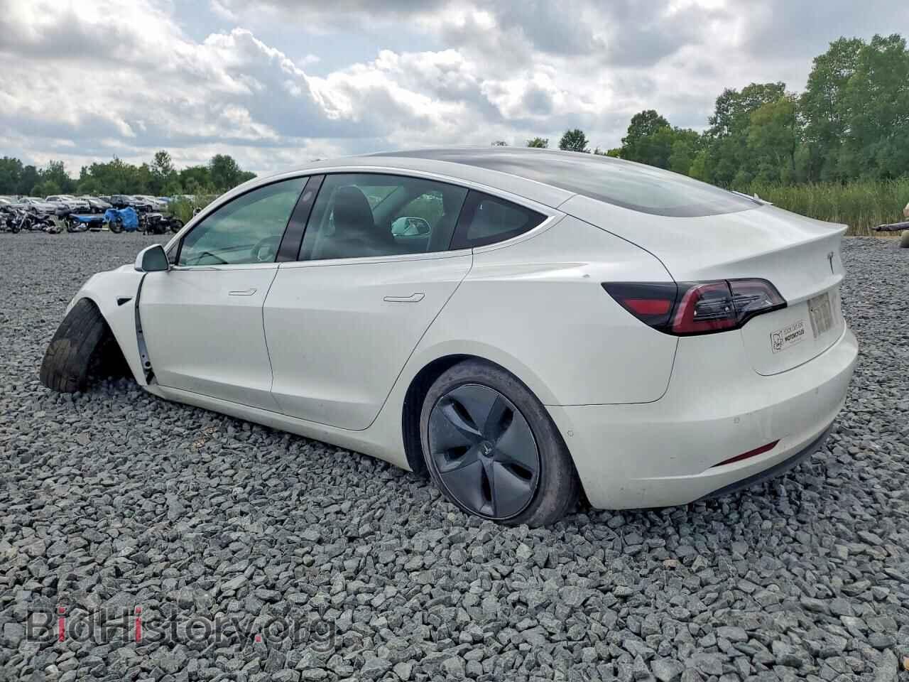 2019 TESLA MODEL 3 - VIN: 5YJ3E1EB3KF511527 - Фото 2