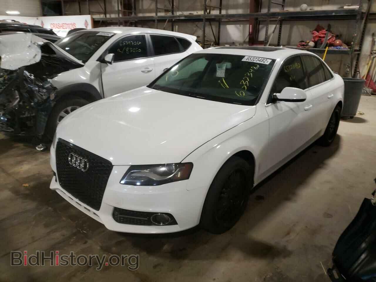 2010 AUDI A4 - VIN: WAUFFAFL7AN061024 - Фото 2