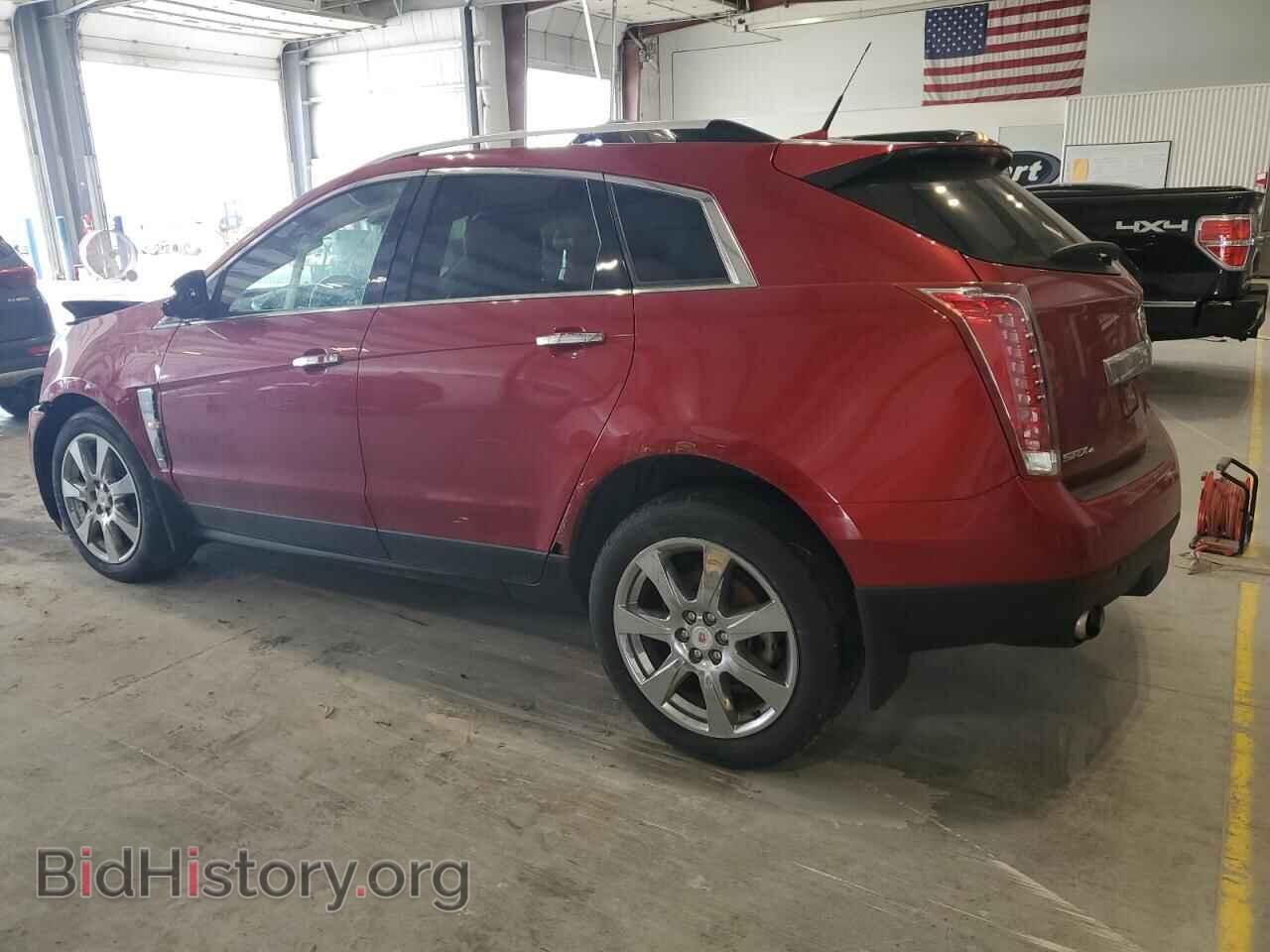 2012 CADILLAC SRX - VIN: 3GYFNFE32CS629994 - Фото 2
