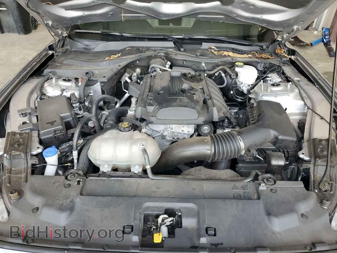 2020 FORD ALL Models - VIN: 1FA6P8TH3L5189102 - Фото 11