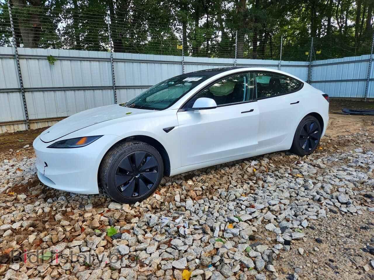 Фотография 5YJ3E1EA4SF021539 - TESLA MODEL 3 2025