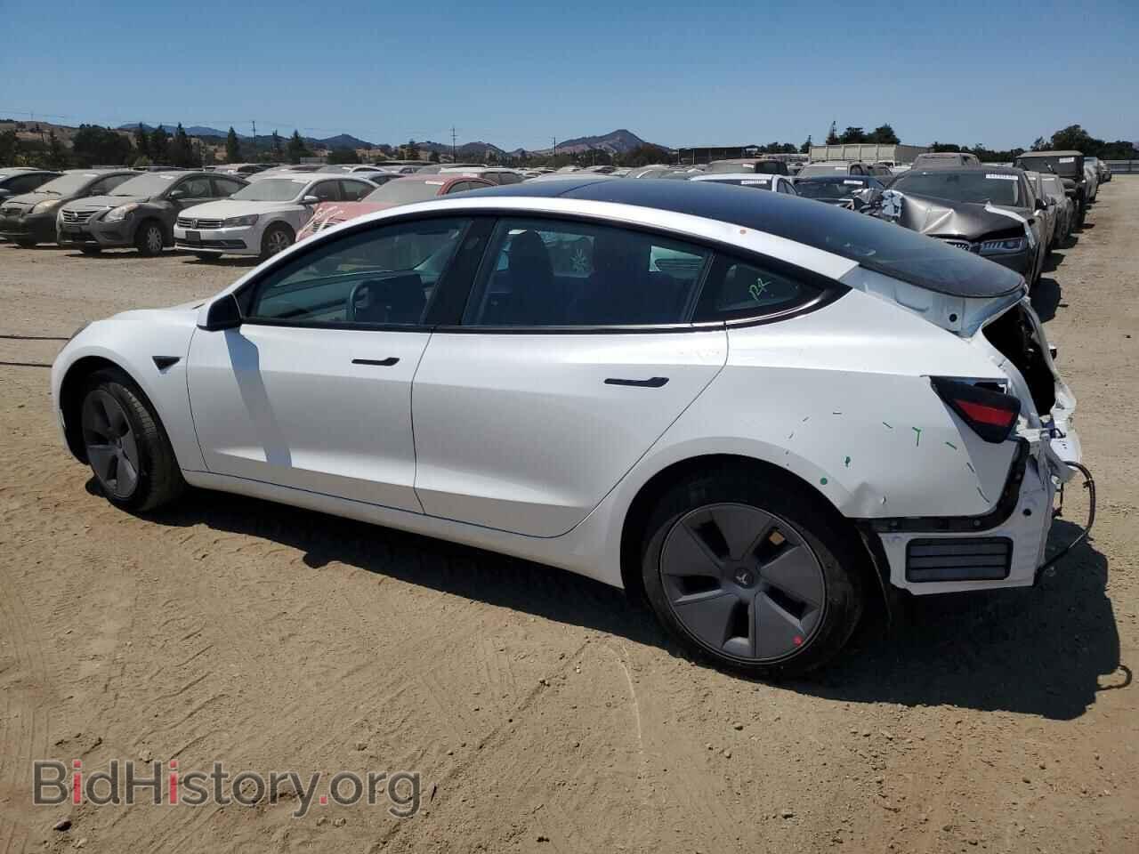 2023 TESLA MODEL 3 - VIN: 5YJ3E1EA1PF496850 - Фото 2
