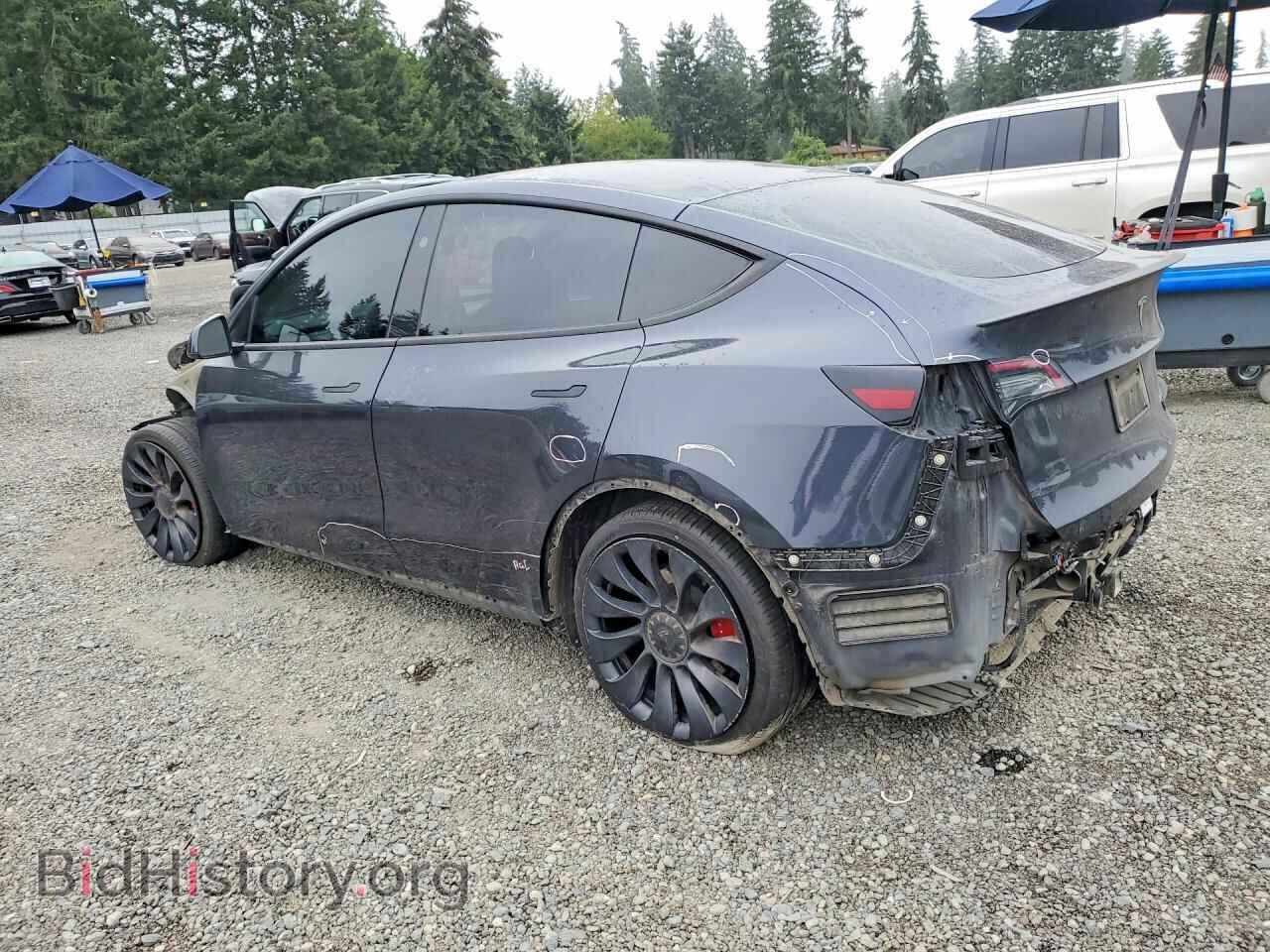 2024 TESLA MODEL Y - VIN: 7SAYGDEF9RF107746 - Фото 2