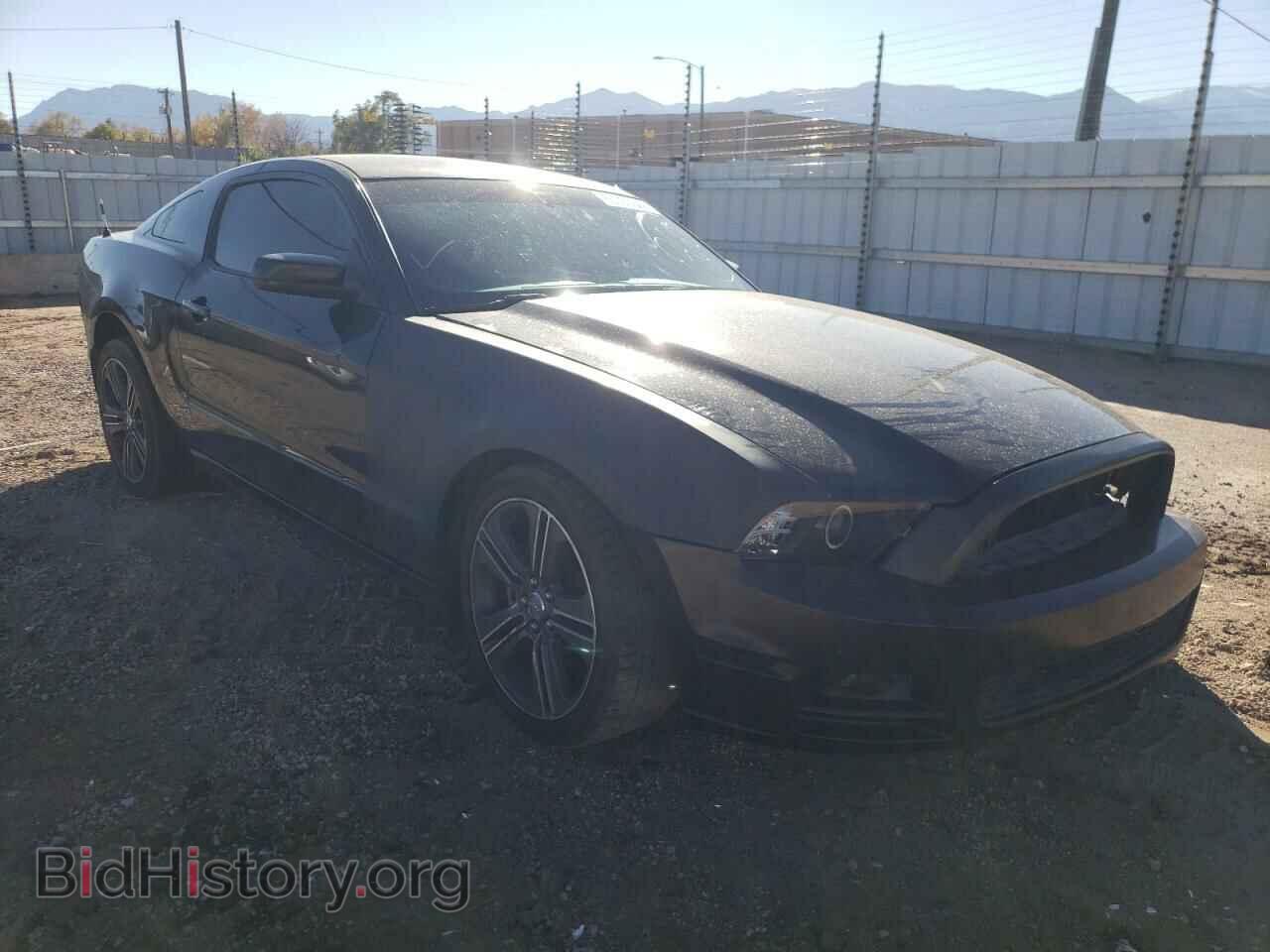 Photo 1ZVBP8AM4E5207664 - FORD MUSTANG 2014