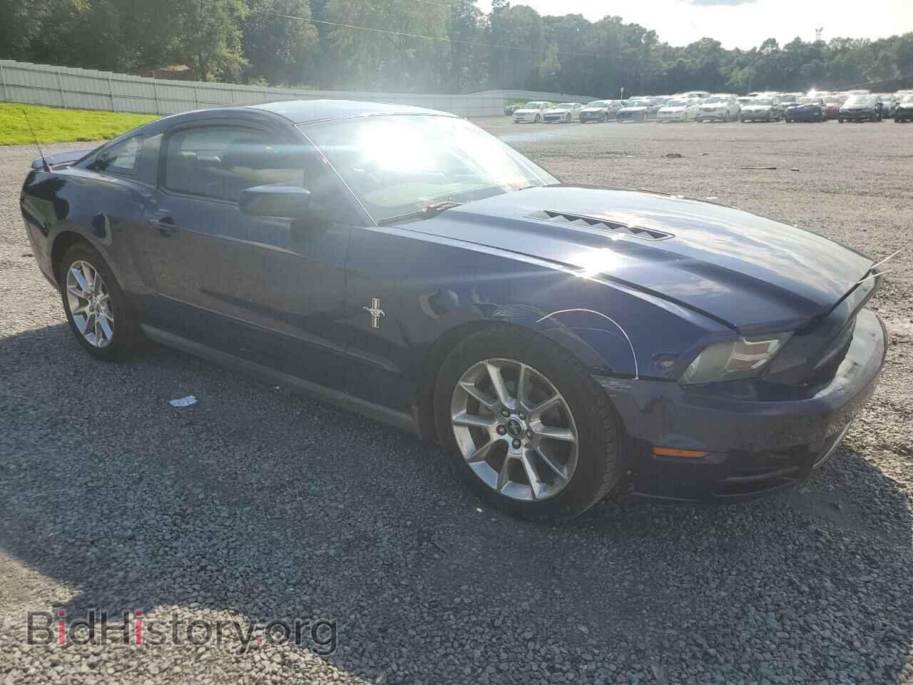 2010 FORD ALL Models - VIN: 1ZVBP8AN4A5105588 - Фото 4