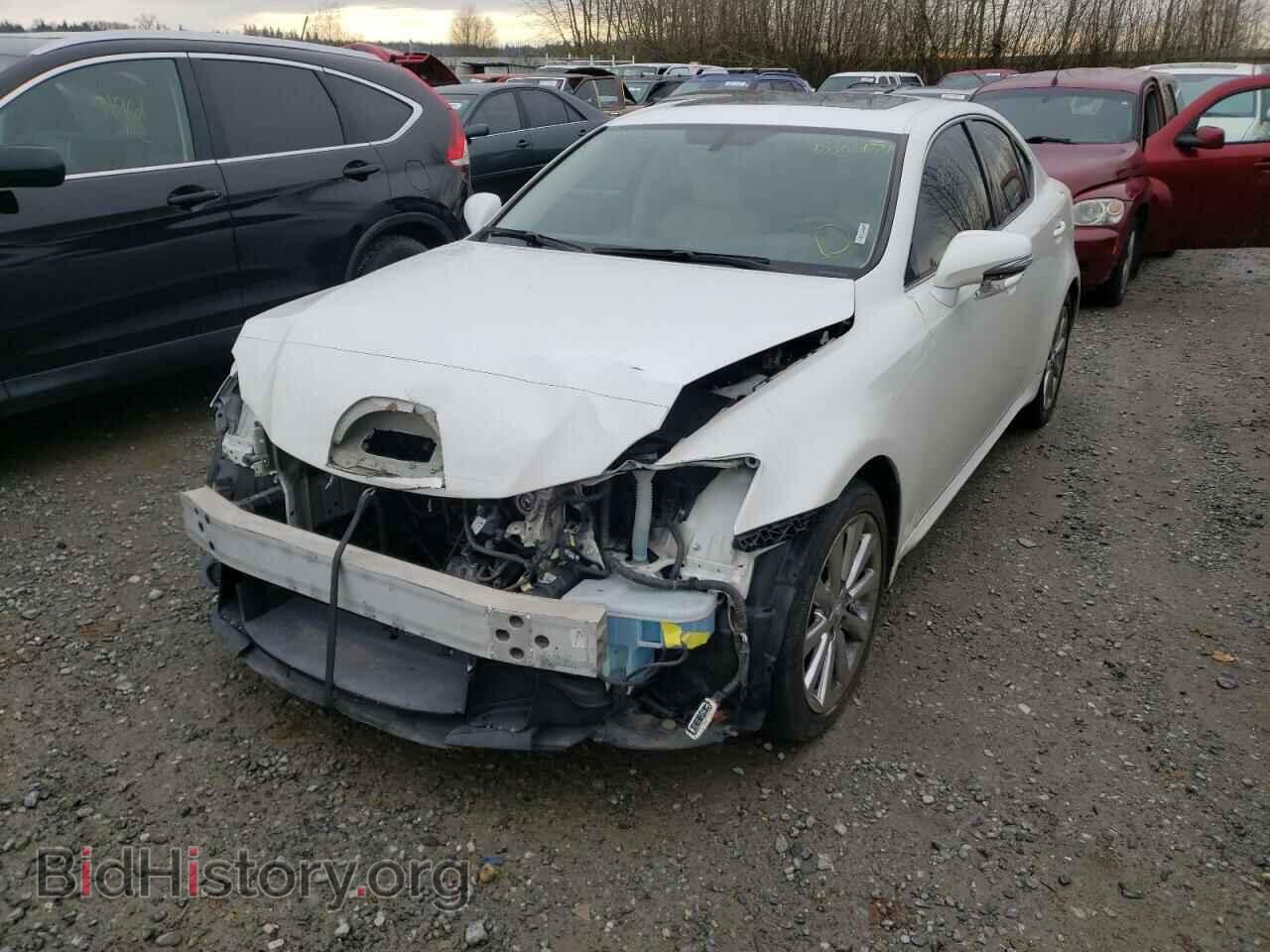 2010 LEXUS IS - VIN: JTHBF5C20A2094578 - Фото 2