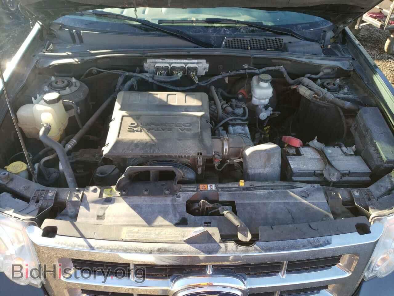 2010 FORD ESCAPE - VIN: 1FMCU9DG2AKB17111 - Photo 7
