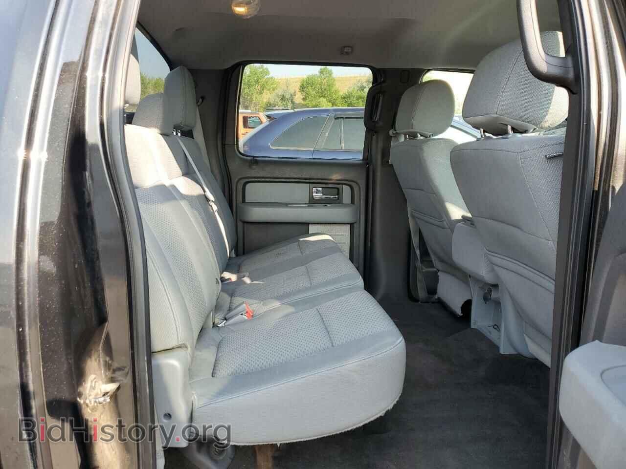 2013 FORD F-150 - VIN: 1FTFW1EF2DFA30681 - Фото 10