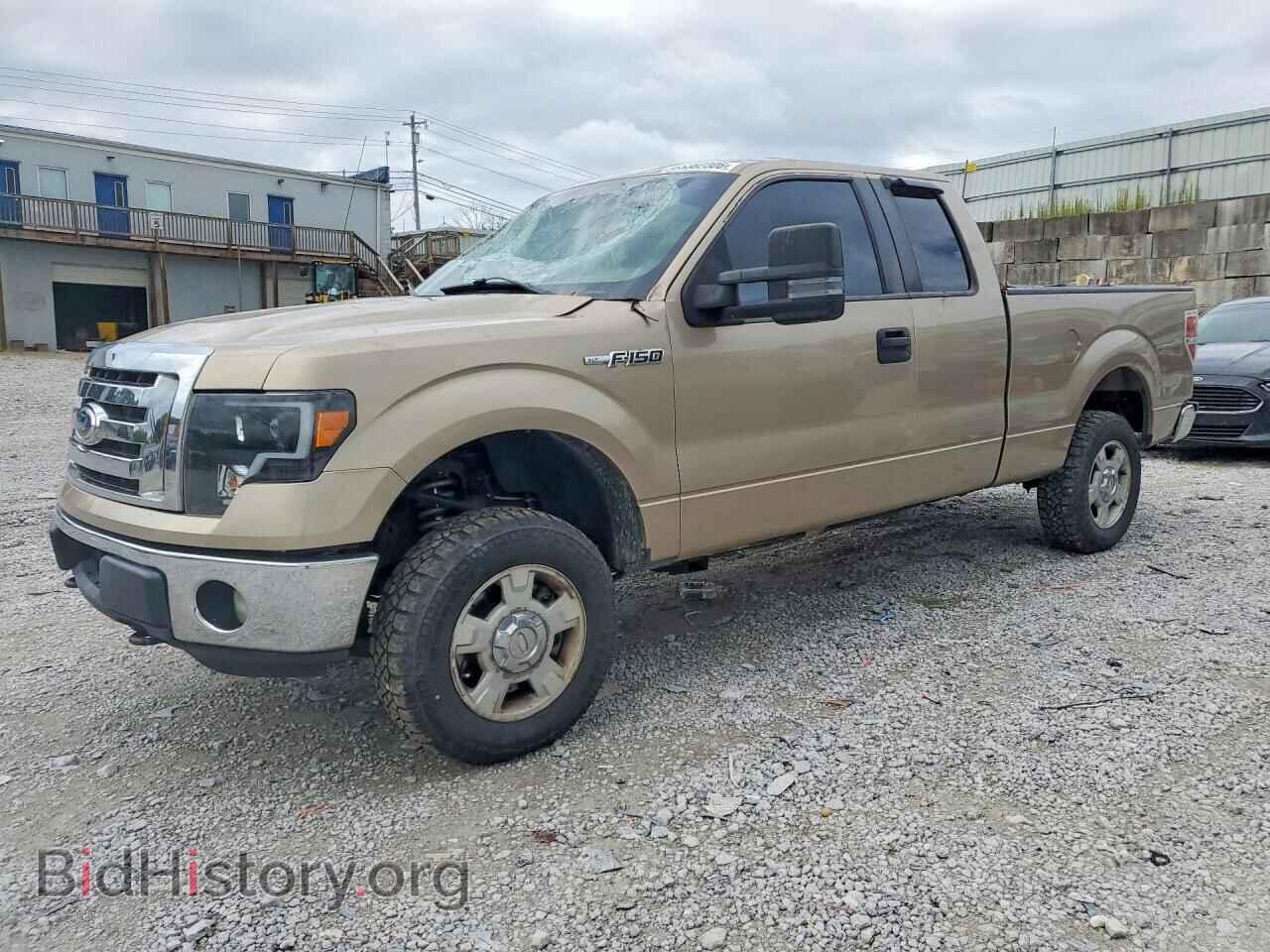 Photo 1FTFX1EF6CFA43252 - FORD F150 2012