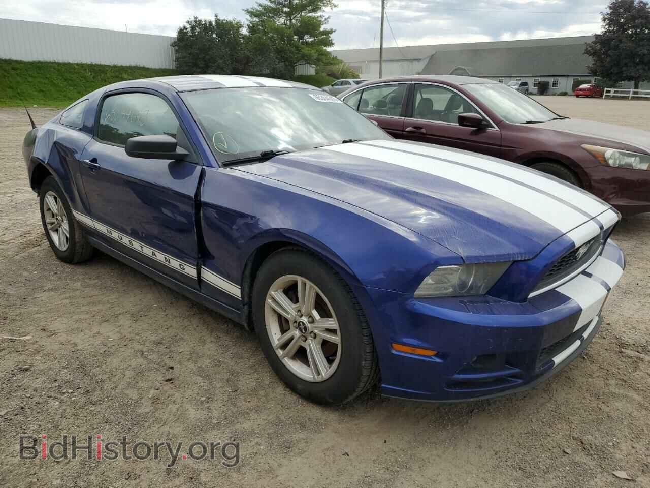 2013 FORD ALL Models - VIN: 1ZVBP8AM7D5269042 - Фото 4