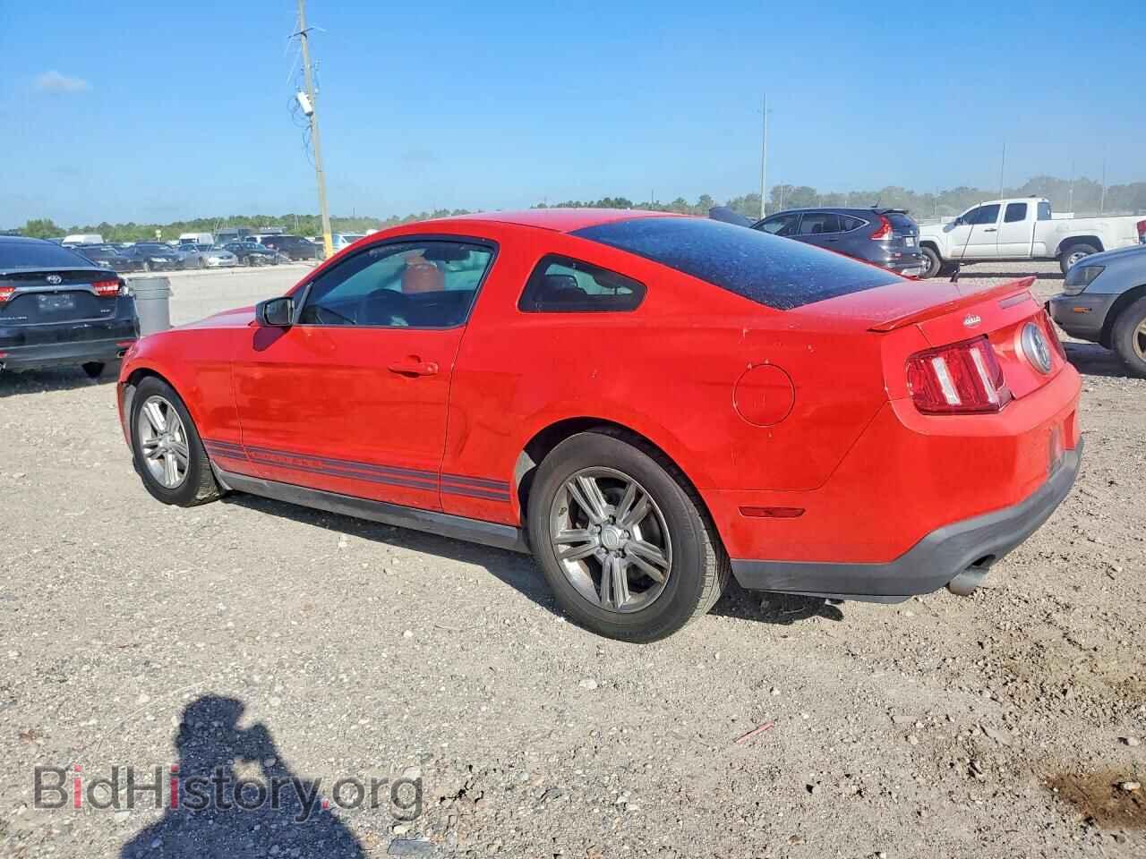 2011 FORD MUSTANG - VIN: 1ZVBP8AM3B5103484 - Фото 2