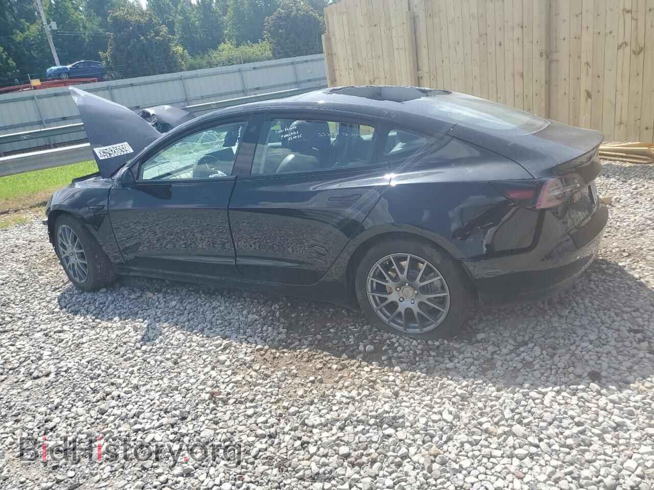 2022 TESLA MODEL 3 - VIN: 5YJ3E1EA5NF368513 - Photo 2