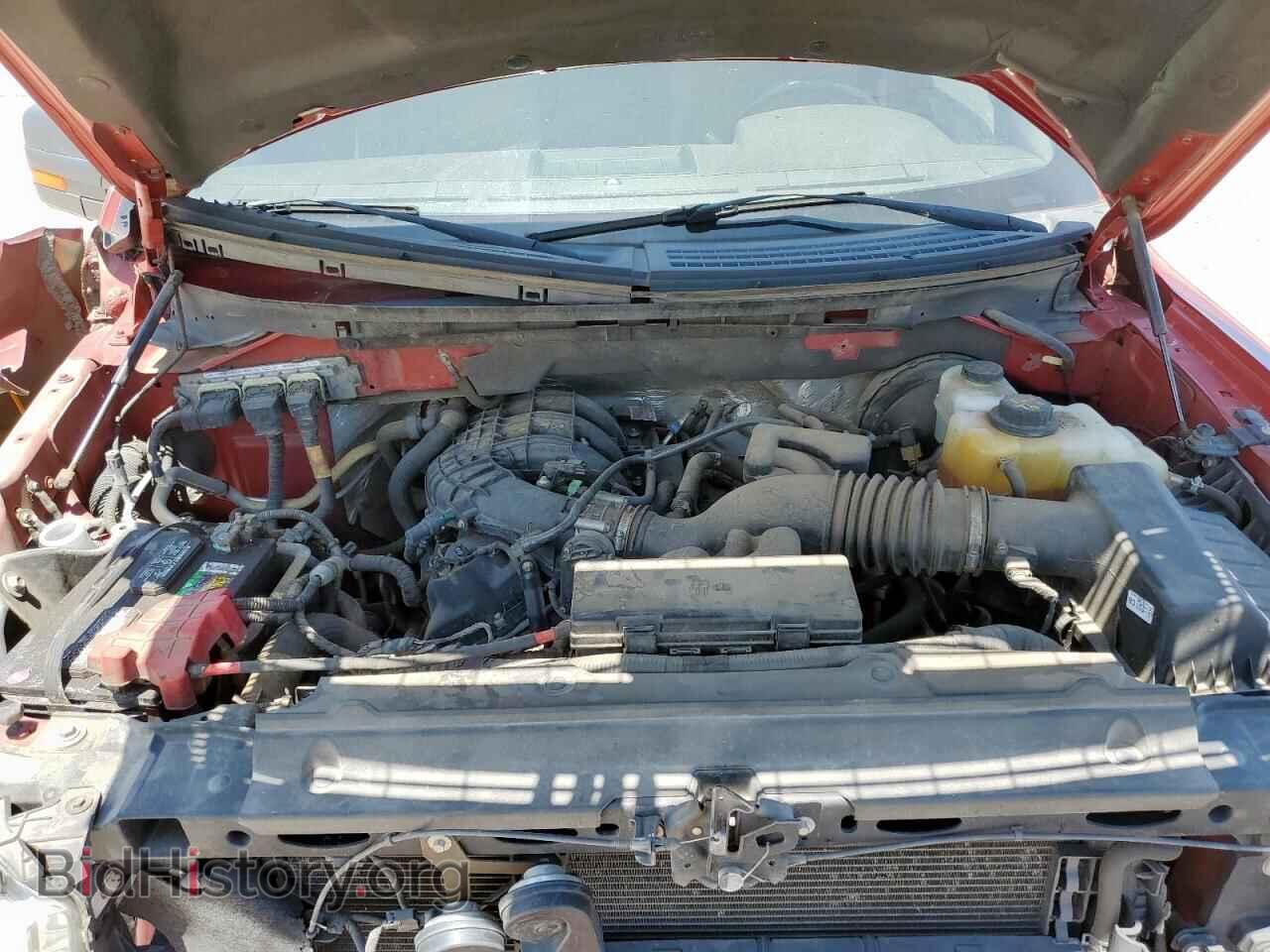 2013 FORD All Models - VIN: 1FTMF1CM1DFD93546 - Photo 11