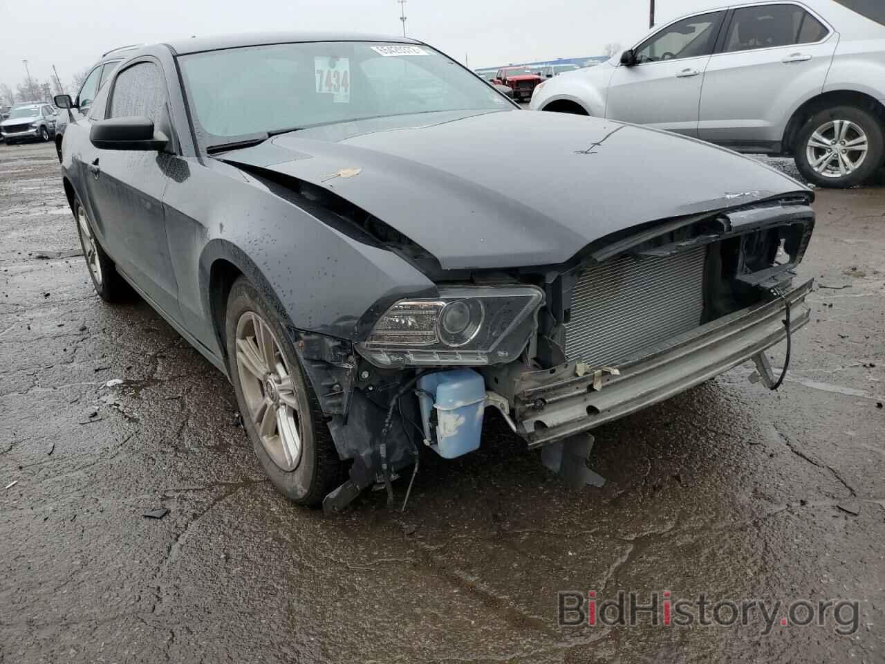 Photo 1ZVBP8AM5E5280073 - FORD MUSTANG 2014