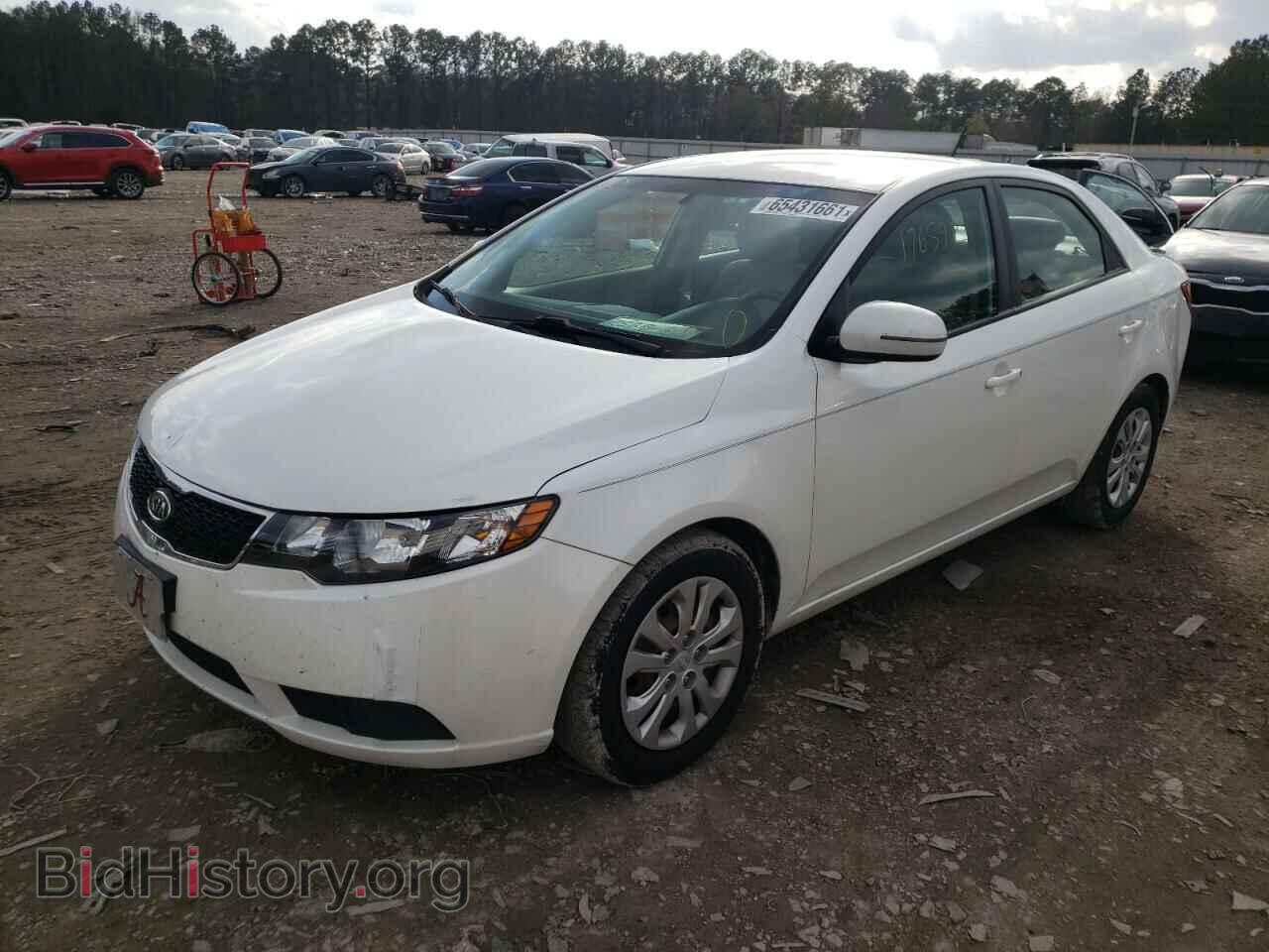 2012 KIA FORTE - VIN: KNAFU4A26C5582857 - Фото 2