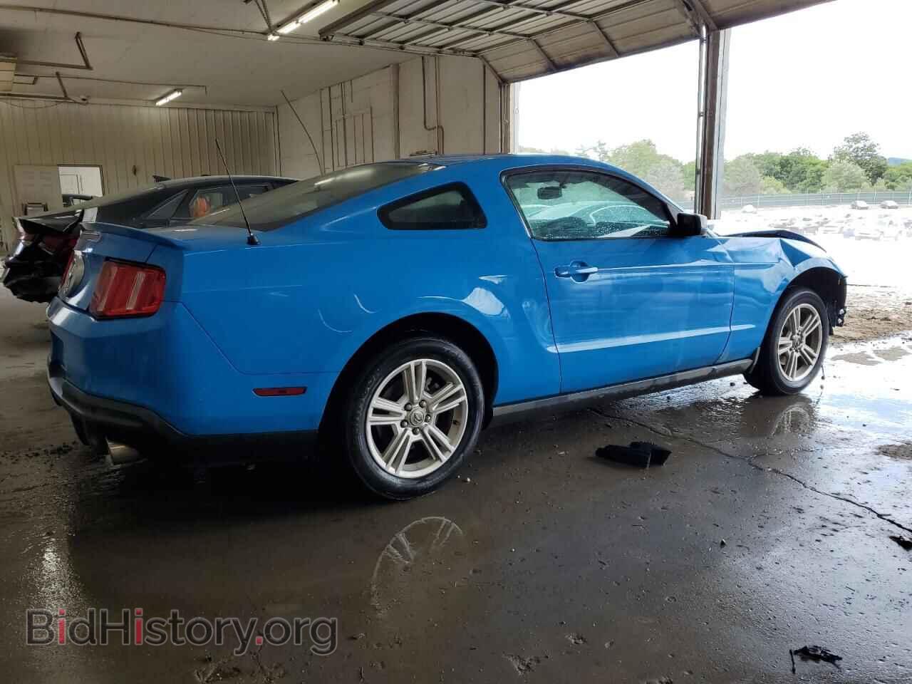 2010 FORD ALL Models - VIN: 1ZVBP8AN3A5145192 - Фото 3