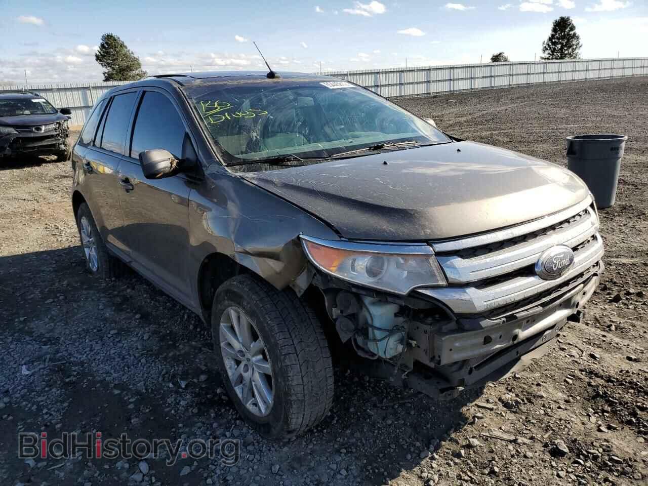 Фотография 2FMDK3JC1DBB11985 - FORD EDGE 2013