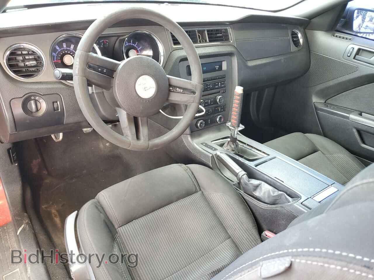 2010 FORD ALL Models - VIN: 1ZVBP8AN9A5101357 - Фото 8