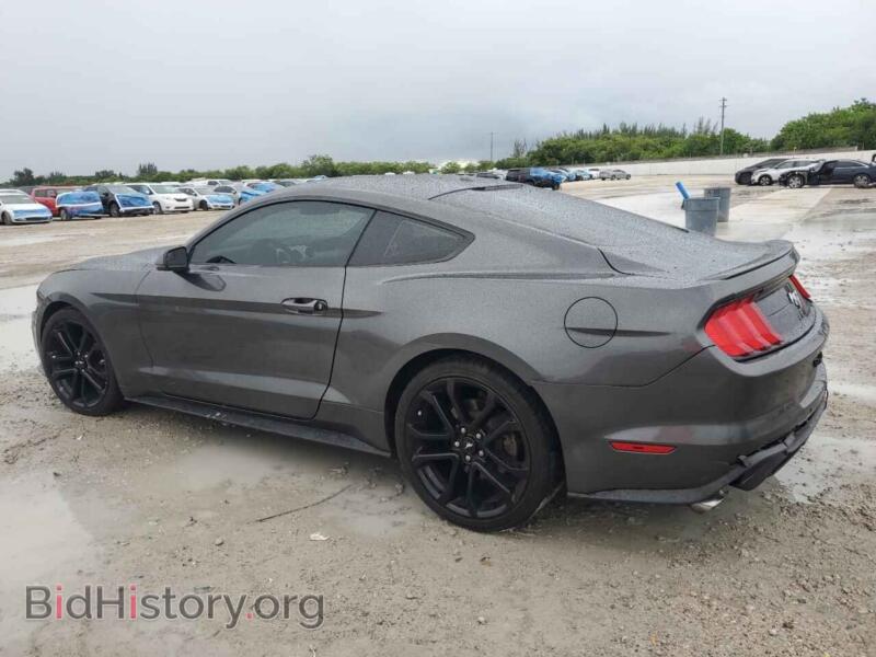 2019 Ford ALL MODELS (VIN 1FA6P8TH3K5166868) — photo 2 of 12