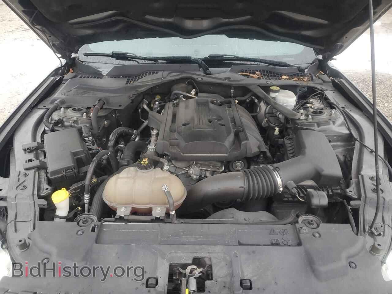 2019 FORD ALL Models - VIN: 1FA6P8TH3K5166868 - Фото 11