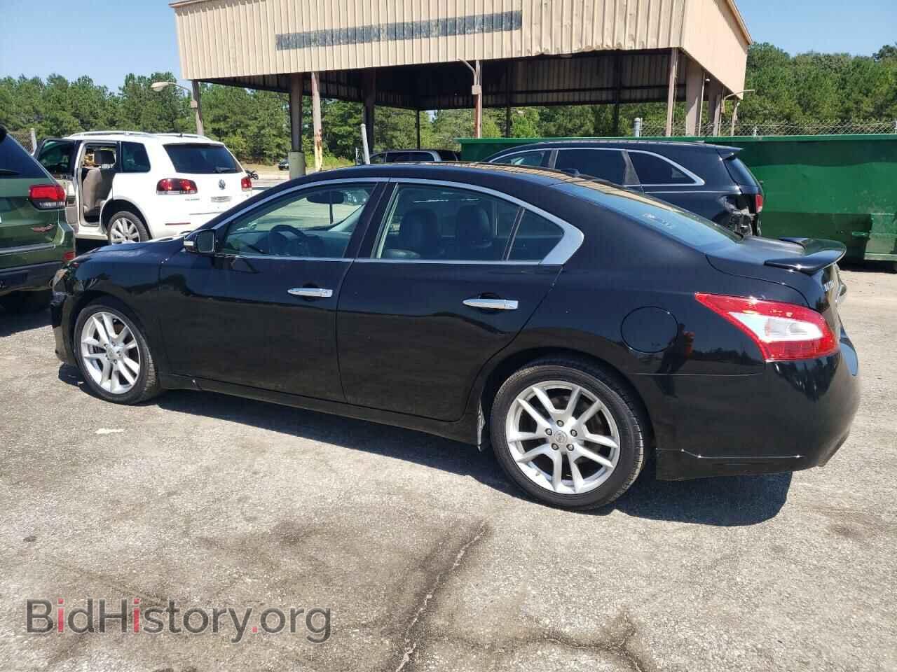 2009 NISSAN MAXIMA - VIN: 1N4AA51E69C821209 - Фото 2