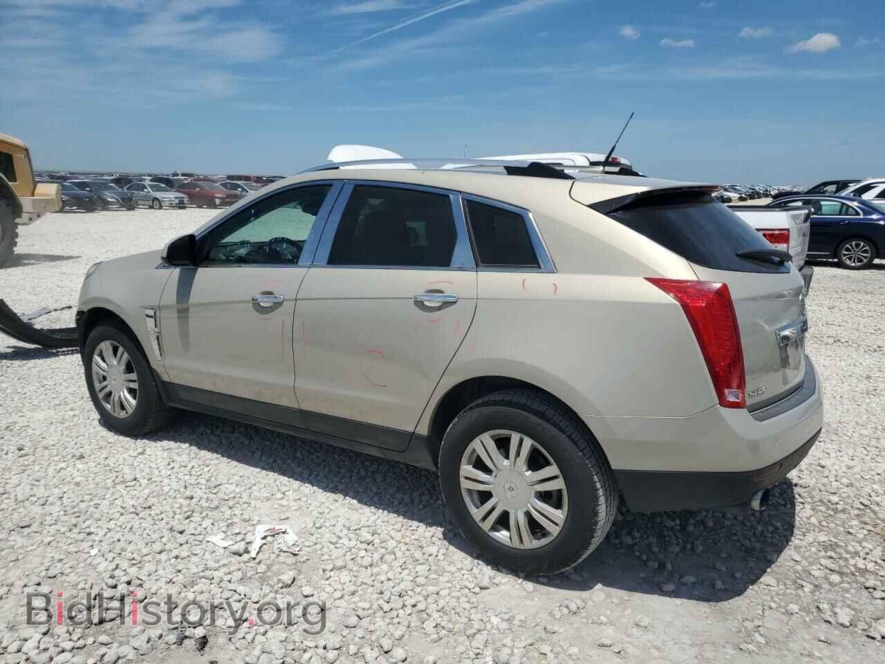 2010 CADILLAC SRX - VIN: 3GYFNAEYXAS599235 - Фото 2