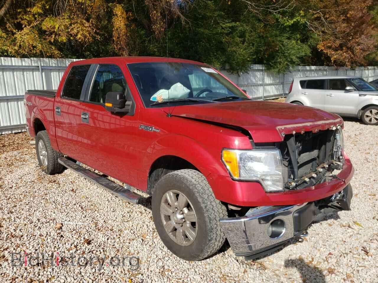 Фотография 1FTFW1EVXAFA91683 - FORD F-150 2010