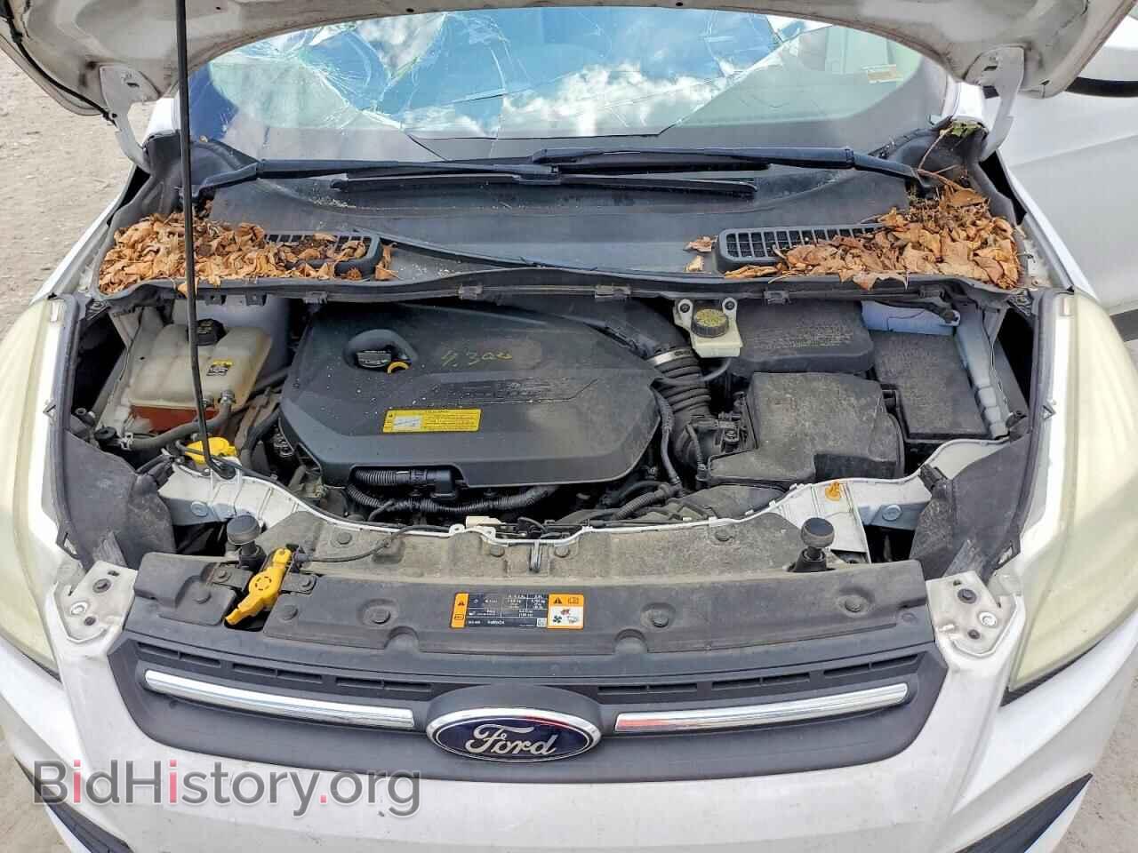 2013 FORD ESCAPE - VIN: 1FMCU0GX1DUC41418 - Фото 12