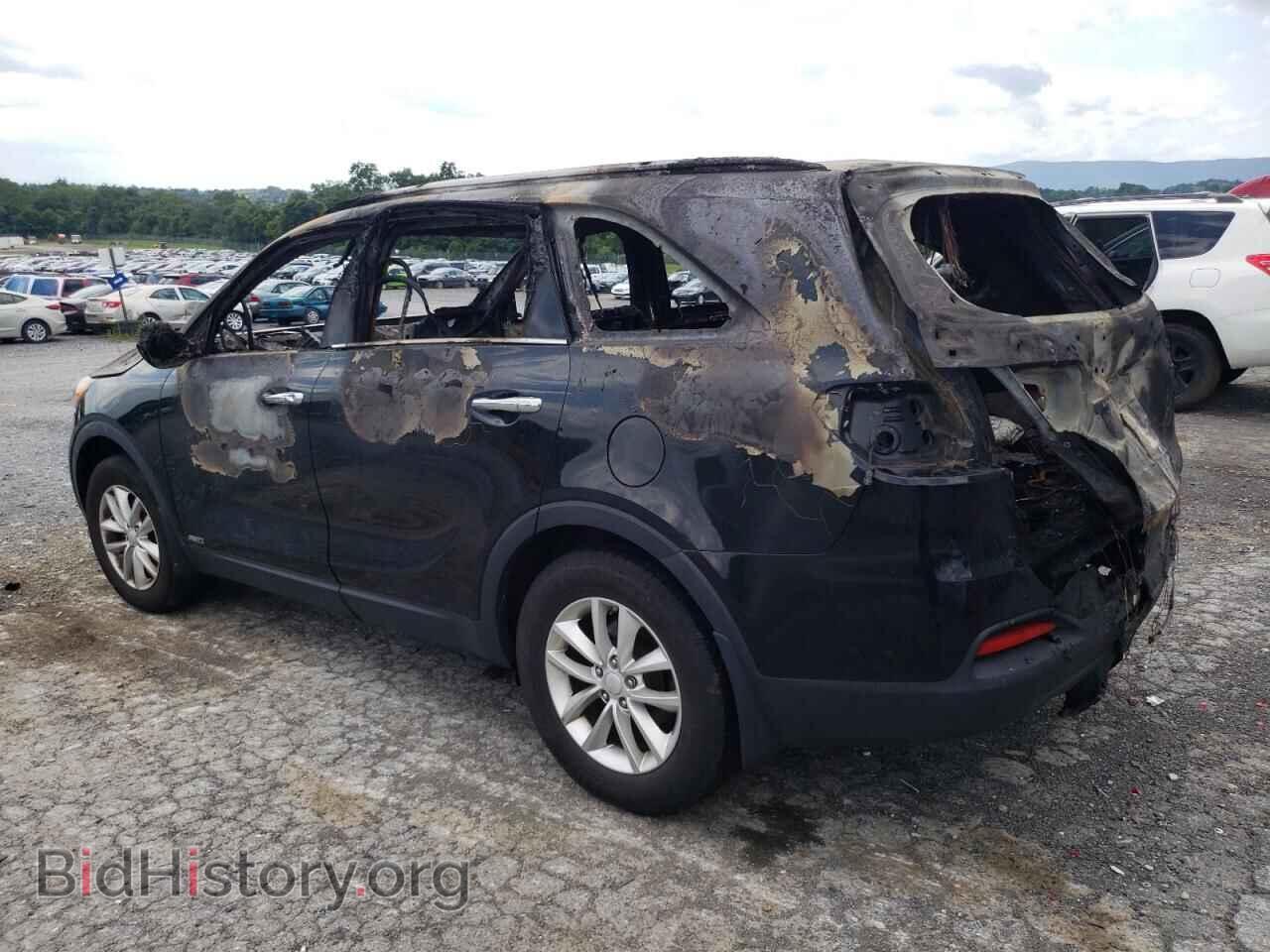 2017 KIA SORENTO - VIN: 5XYPGDA32HG219199 - Фото 2