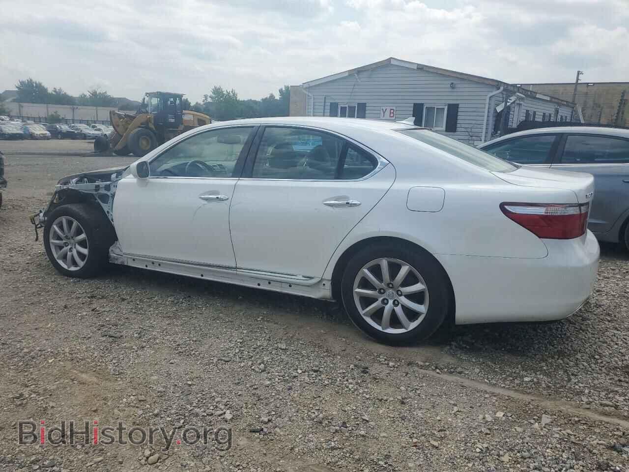 2008 LEXUS LS460 - VIN: JTHBL46F385071984 - Photo 2