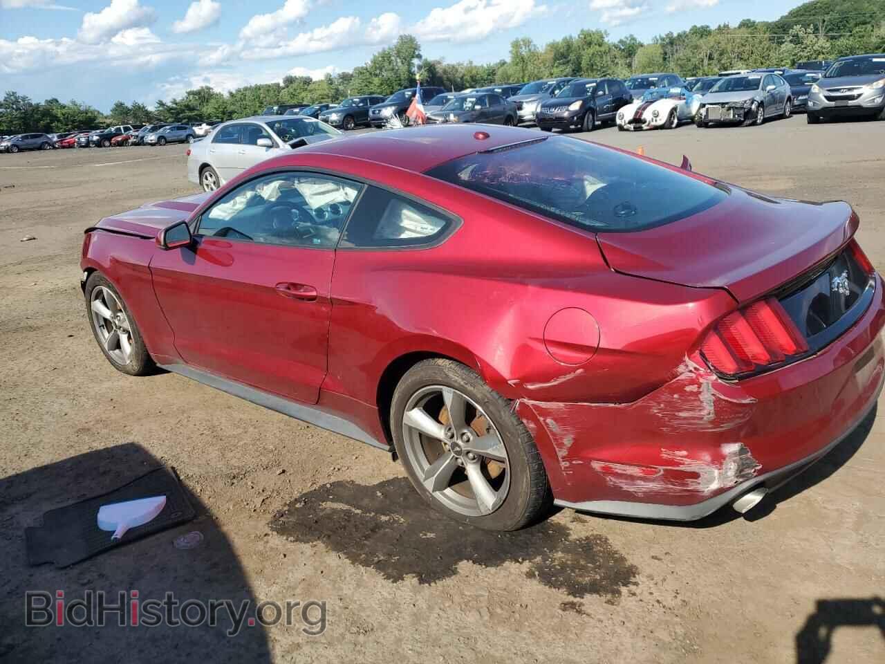 2016 FORD ALL Models - VIN: 1FA6P8TH0G5207402 - Фото 2