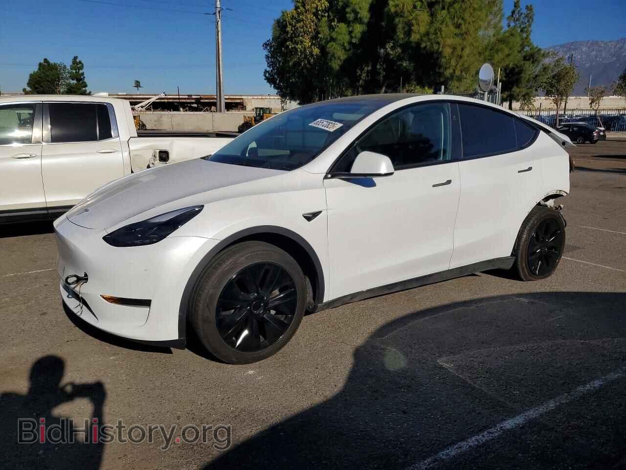 Photo 7SAYGDED8RF128649 - TESLA MODEL Y 2024