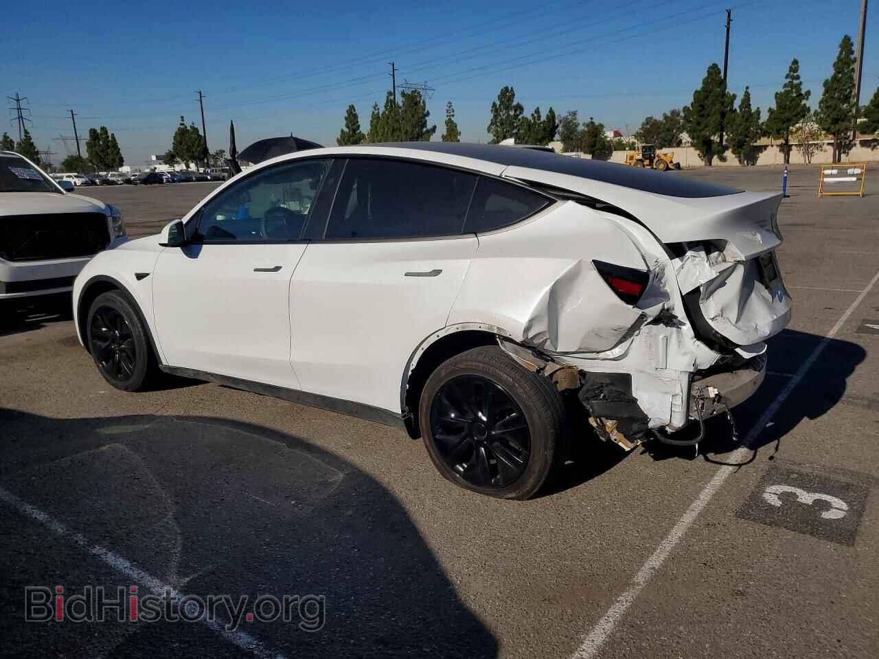 2024 TESLA MODEL Y - VIN: 7SAYGDED8RF128649 - Фото 2