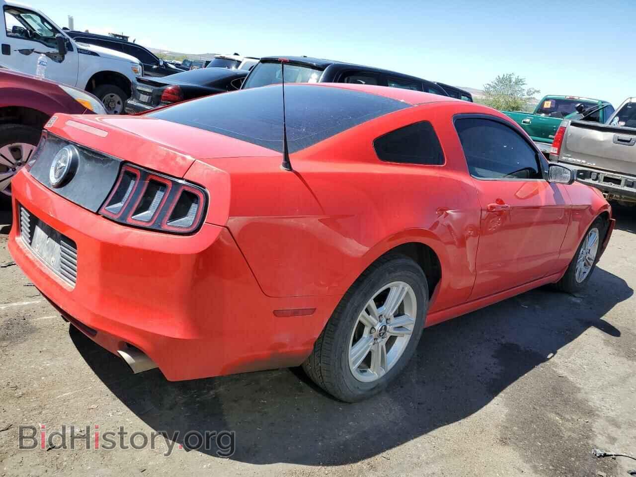 2013 FORD ALL Models - VIN: 1ZVBP8AM8D5279434 - Фото 3