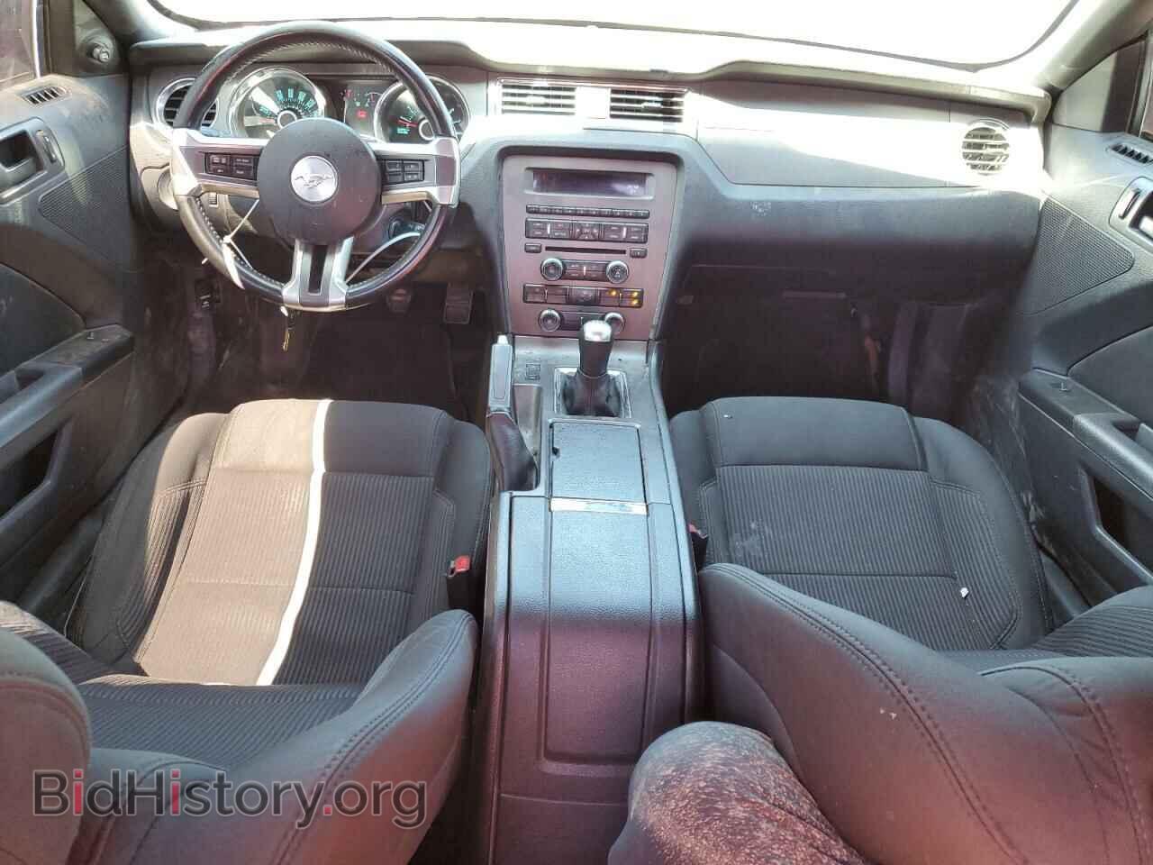 2013 FORD ALL Models - VIN: 1ZVBP8AM8D5279434 - Фото 8
