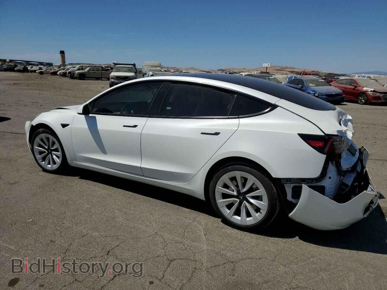 2023 TESLA MODEL 3 - VIN: 5YJ3E1EA0PF540627 - Photo 2