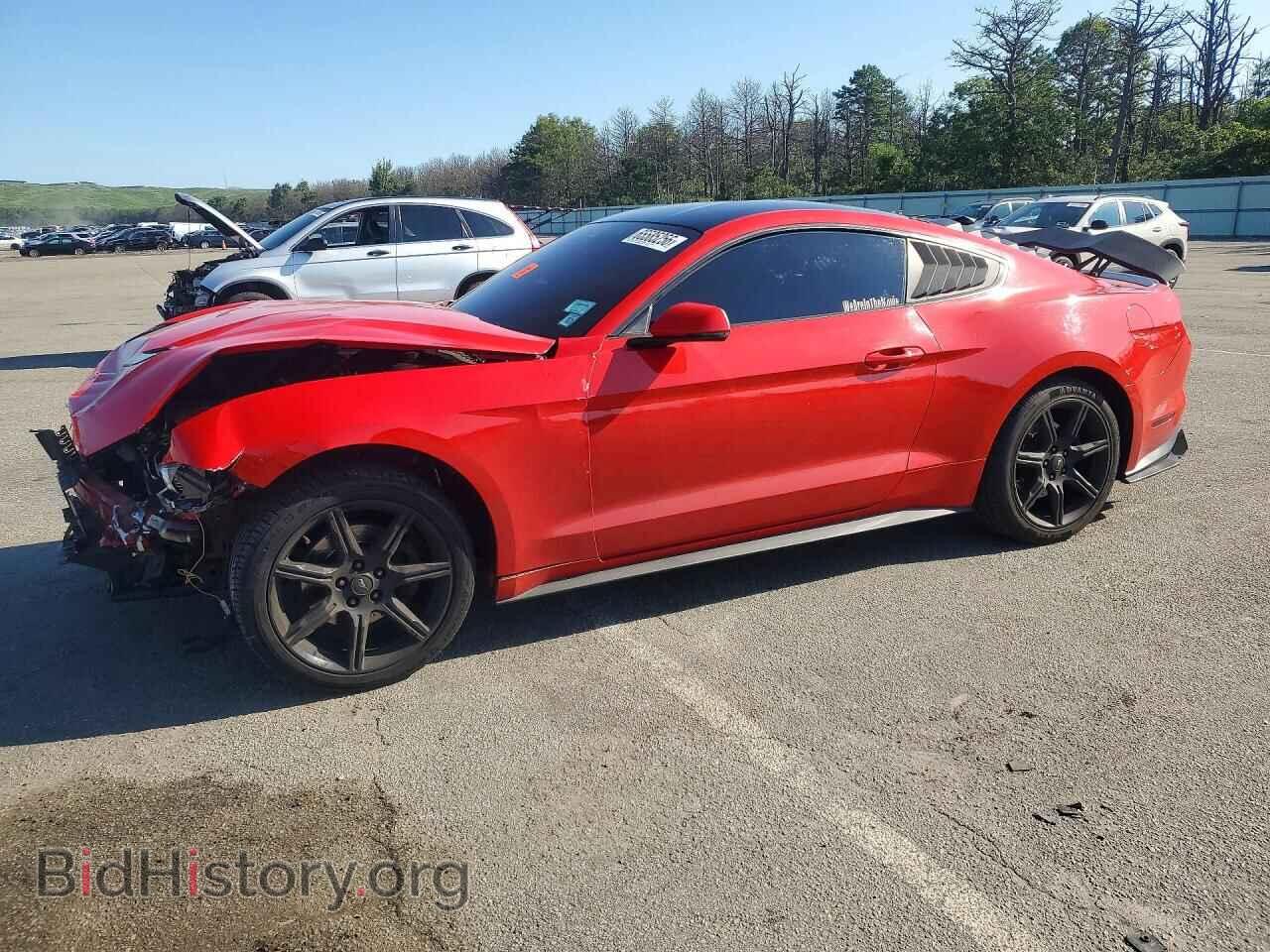Фотография 1FA6P8TH5K5194218 - FORD MUSTANG 2019